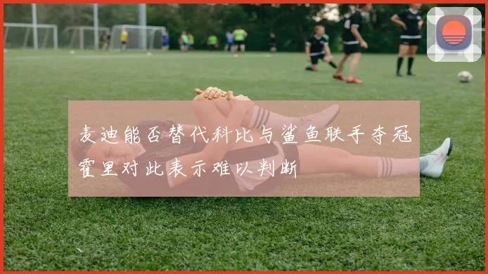 麦迪能否替代科比与鲨鱼联手夺冠霍里对此表示难以判断