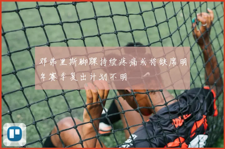 邓弗里斯脚踝持续疼痛或将缺席明年赛季复出计划不明